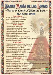 m5YgNFiestasVirgendelPilar2026.SantaMaradelasLomas